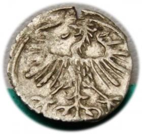 Obrazek 2 dla: Denar 1556 Zygmunt II August Wilno