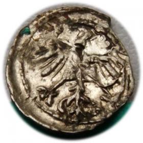 Obrazek 2 dla: Denar 1556 Zygmunt II August Wilno