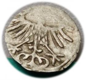 Obrazek 2 dla: Denar 1557 Zygmunt II August Wilno