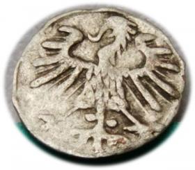 Obrazek 2 dla: Denar 1557 Zygmunt II August Wilno