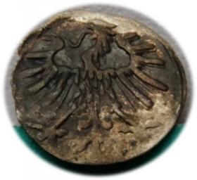 Obrazek 2 dla: Denar 1557 Zygmunt II August Wilno