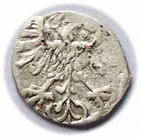 Obrazek 2 dla: Denar 1559 Zygmunt II August Wilno