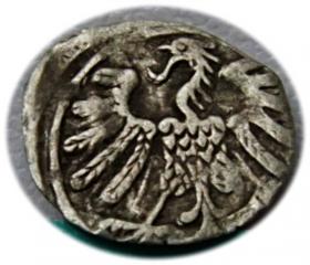 Obrazek 2 dla: Denar 1558 Zygmunt II August Wilno