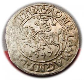 Obrazek dla: Półgrosz 1547 Zygmunt II August Wilno