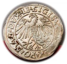 Obrazek 2 dla: Półgrosz 1547 Zygmunt II August Wilno