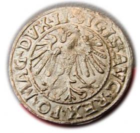 Obrazek 2 dla: Półgrosz 1547 Zygmunt II August Wilno