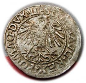 Obrazek 2 dla: Półgrosz 1547 Zygmunt II August Wilno