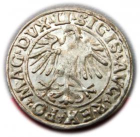 Obrazek 2 dla: Półgrosz 1547 Zygmunt II August Wilno