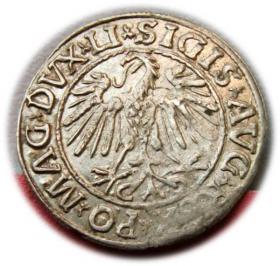 Obrazek 2 dla: Półgrosz 1547 Zygmunt II August Wilno