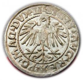 Obrazek 2 dla: Półgrosz 1547 Zygmunt II August Wilno