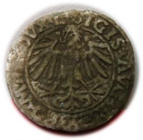 Obrazek 2 dla: Półgrosz 1548 Zygmunt II August Wilno