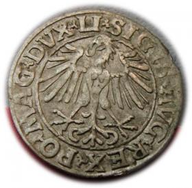 Obrazek 2 dla: Półgrosz 1548 Zygmunt II August Wilno