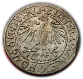 Obrazek 2 dla: Półgrosz 1548 Zygmunt II August Wilno