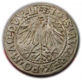 Obrazek 2 dla: Półgrosz 1548 Zygmunt II August Wilno