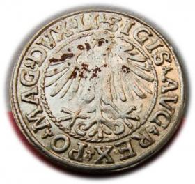 Obrazek 2 dla: Półgrosz 1548 Zygmunt II August Wilno