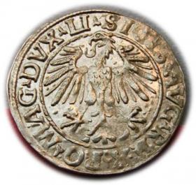 Obrazek 2 dla: Półgrosz 1548 Zygmunt II August Wilno