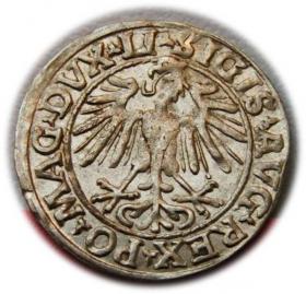 Obrazek 2 dla: Półgrosz 1548 Zygmunt II August Wilno