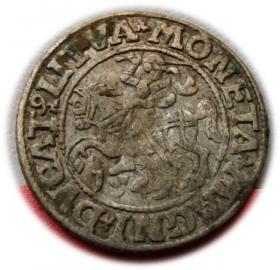 Obrazek dla: Półgrosz 1549 Zygmunt II August Wilno