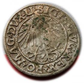 Obrazek 2 dla: Półgrosz 1549 Zygmunt II August Wilno