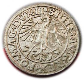 Obrazek 2 dla: Półgrosz 1549 Zygmunt II August Wilno