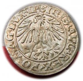 Obrazek 2 dla: Półgrosz 1549 Zygmunt II August Wilno