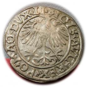 Obrazek 2 dla: Półgrosz 1556 Zygmunt II August Wilno