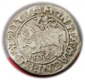 Obrazek dla: Półgrosz 1556 Zygmunt II August Wilno