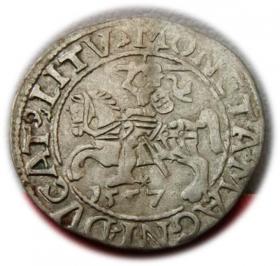 Obrazek dla: Półgrosz 1557 Zygmunt II August Wilno