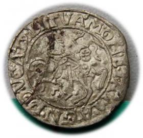 Obrazek dla: Półgrosz 1557 Zygmunt II August Wilno