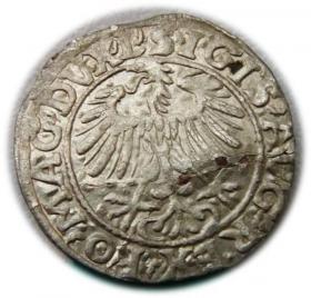 Obrazek 2 dla: Półgrosz 1557 Zygmunt II August Wilno