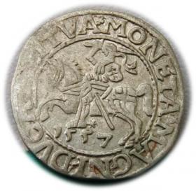 Obrazek dla: Półgrosz 1557 Zygmunt II August Wilno