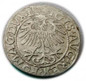 Obrazek 2 dla: Półgrosz 1557 Zygmunt II August Wilno