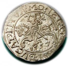 Obrazek dla: Półgrosz 1557 Zygmunt II August Wilno