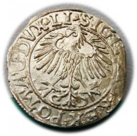 Obrazek 2 dla: Półgrosz 1557 Zygmunt II August Wilno