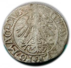 Obrazek 2 dla: Półgrosz 1558 Zygmunt II August Wilno