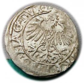 Obrazek 2 dla: Półgrosz 1558 Zygmunt II August Wilno