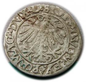 Obrazek 2 dla: Półgrosz 1559 Zygmunt II August Wilno