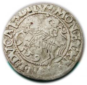 Obrazek dla: Półgrosz 1559 Zygmunt II August Wilno