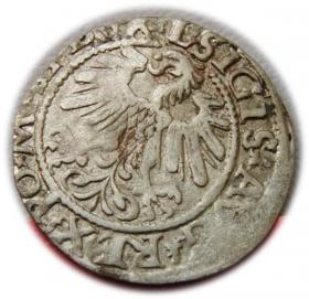 Obrazek 2 dla: Półgrosz 1559 Zygmunt II August Wilno