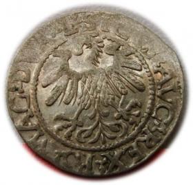 Obrazek 2 dla: Półgrosz 1559 Zygmunt II August Wilno