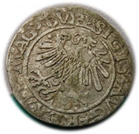 Obrazek 2 dla: Półgrosz 1559 Zygmunt II August Wilno