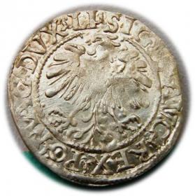 Obrazek 2 dla: Półgrosz 1559 Zygmunt II August Wilno