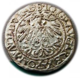 Obrazek 2 dla: Półgrosz 1559 Zygmunt II August Wilno