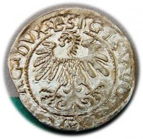 Obrazek 2 dla: Półgrosz 1559 Zygmunt II August Wilno