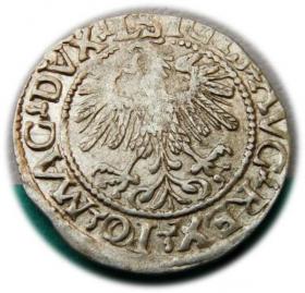 Obrazek 2 dla: Półgrosz 1559 Zygmunt II August Wilno