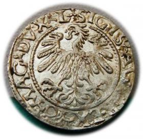 Obrazek 2 dla: Półgrosz 1559 Zygmunt II August Wilno