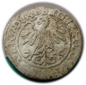 Obrazek 2 dla: Półgrosz 1560 Zygmunt II August Wilno