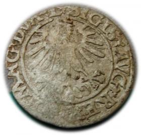 Obrazek 2 dla: Półgrosz 1560 Zygmunt II August Wilno