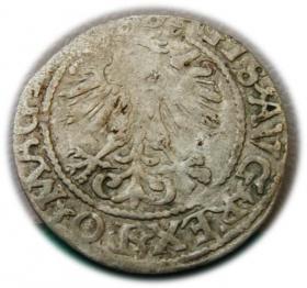 Obrazek 2 dla: Półgrosz 1560 Zygmunt II August Wilno