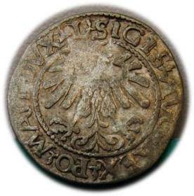 Obrazek 2 dla: Półgrosz 1560 Zygmunt II August Wilno